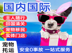 宜春空运国际宠物托运 【国